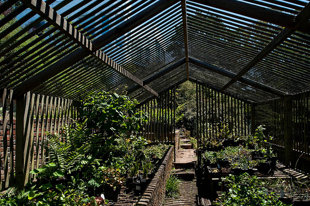 lath greehouse