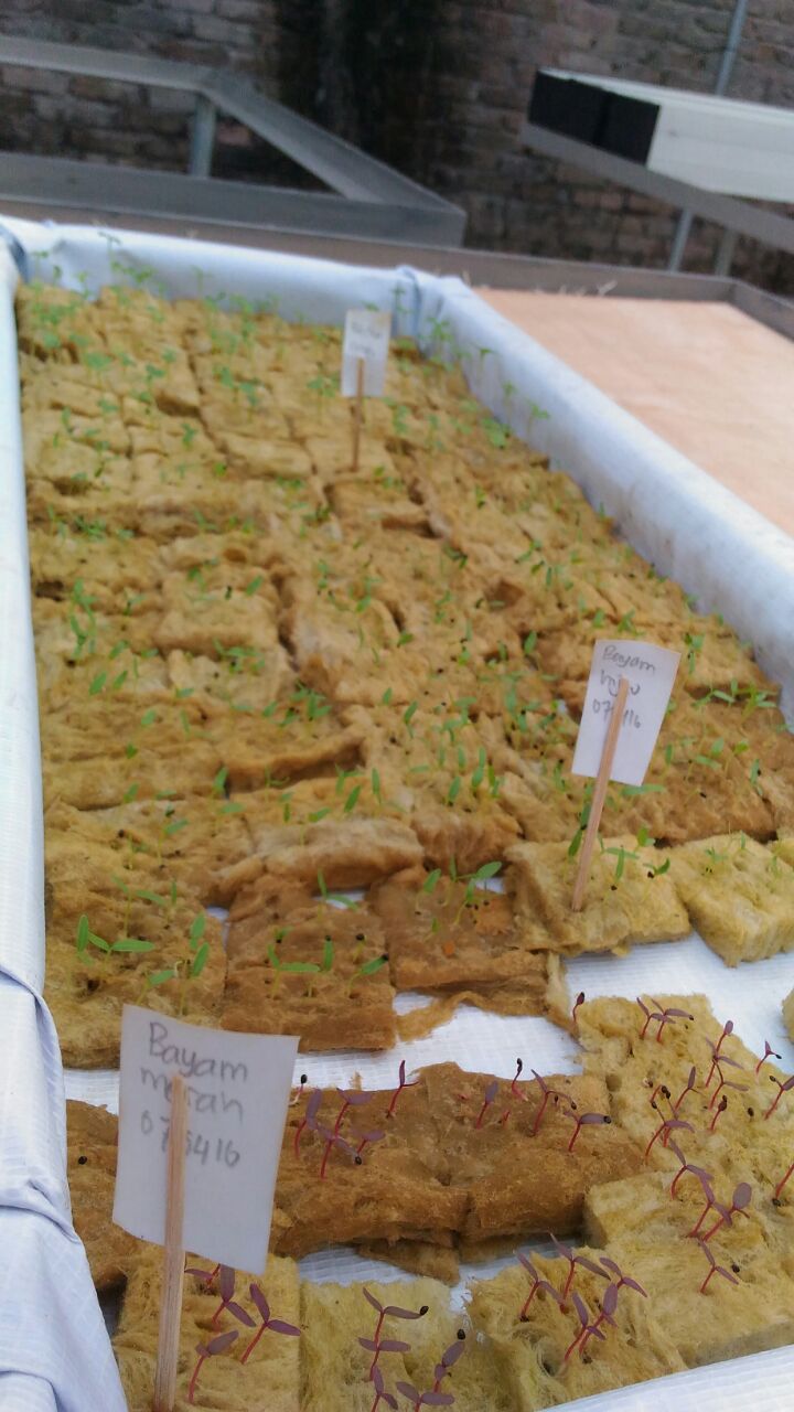 061d2545-4328-4959-8bc7-3eeeb0a0a55e