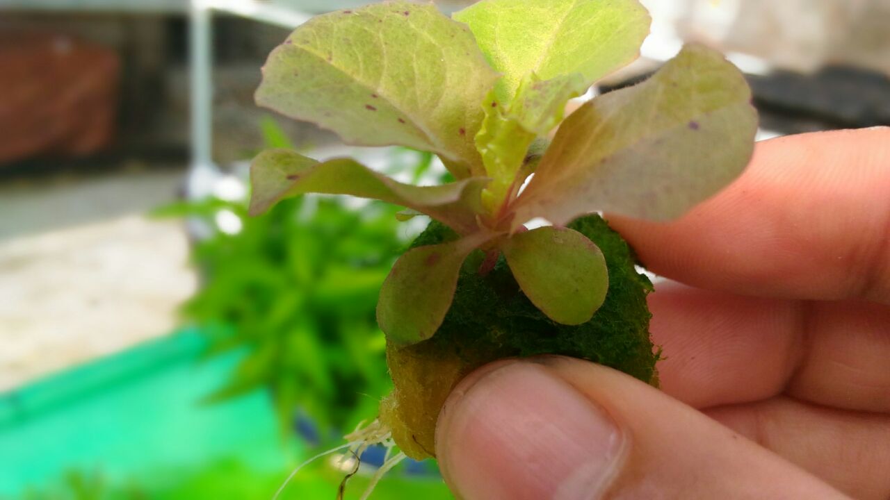 1ee9af06-ce97-447e-893c-09c194e82696