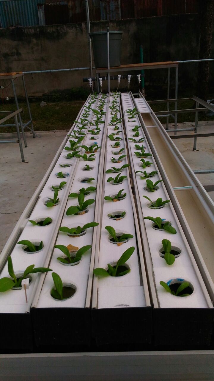 d58e889e-d97c-46a7-a7ed-9781cb0cdb3c