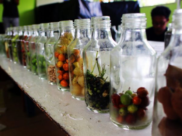 Pengantar Kuratorial Pameran “Presentasi Publik Aksara Tani Gili&nbsp;Meno”