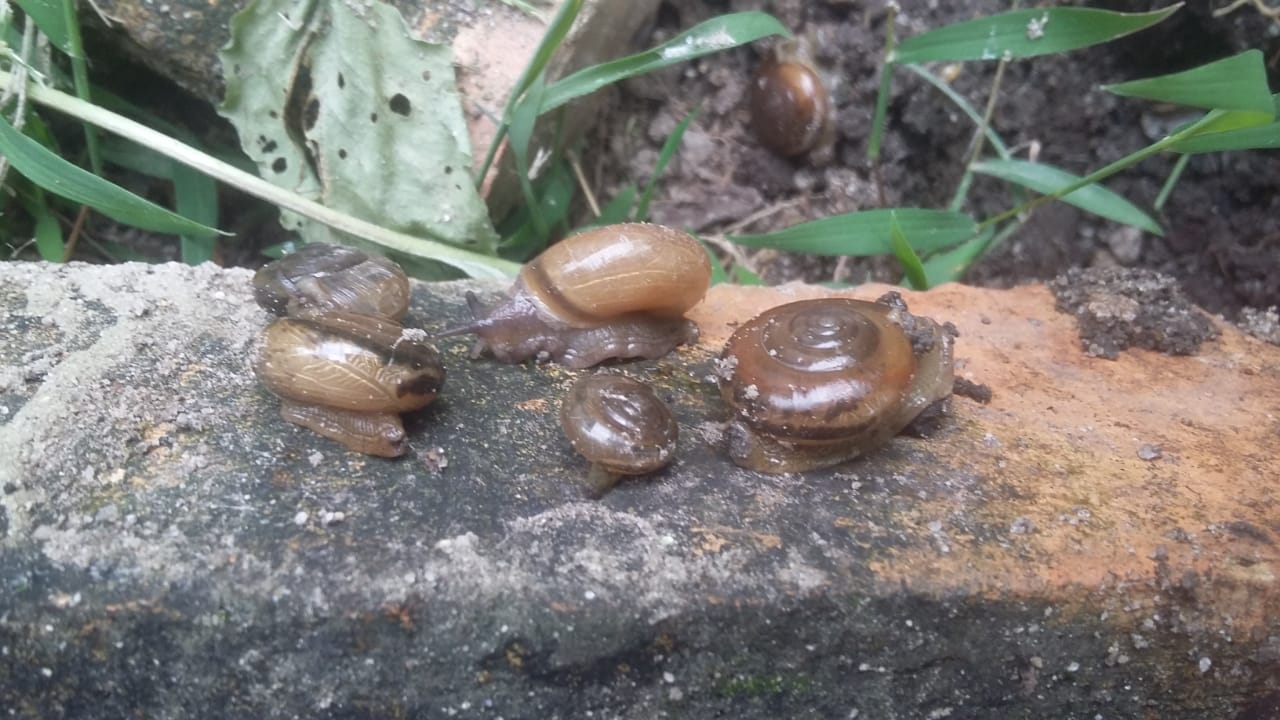 WhatsApp Image 2019-04-14 at 2.54.58 PM